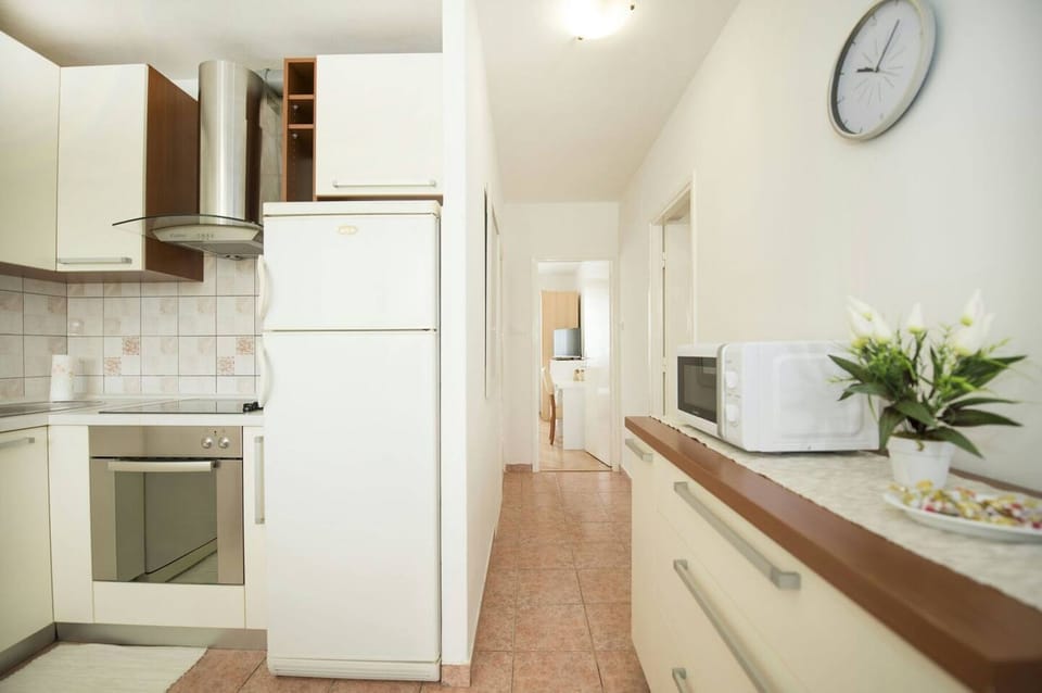 Apartment (A1) | Private kitchen | Fridge, microwave, oven, stovetop