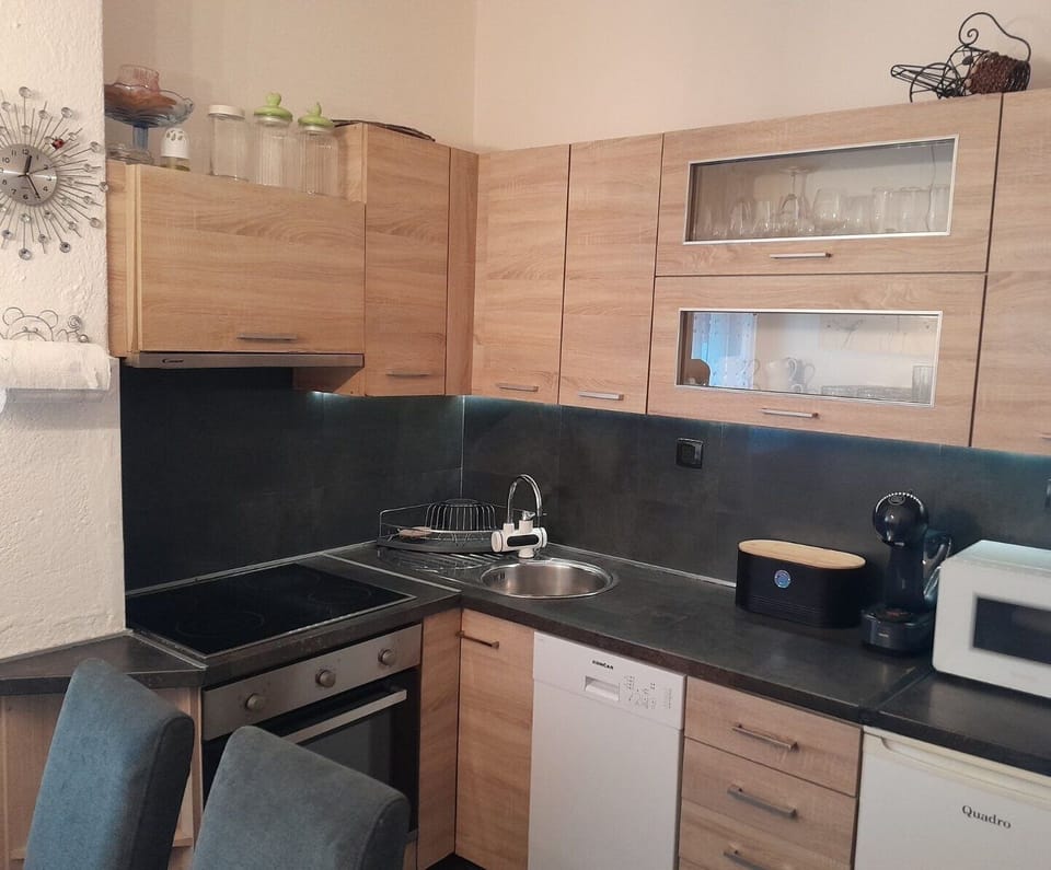 Apartment (A1) | Private kitchen | Fridge, microwave, oven, stovetop