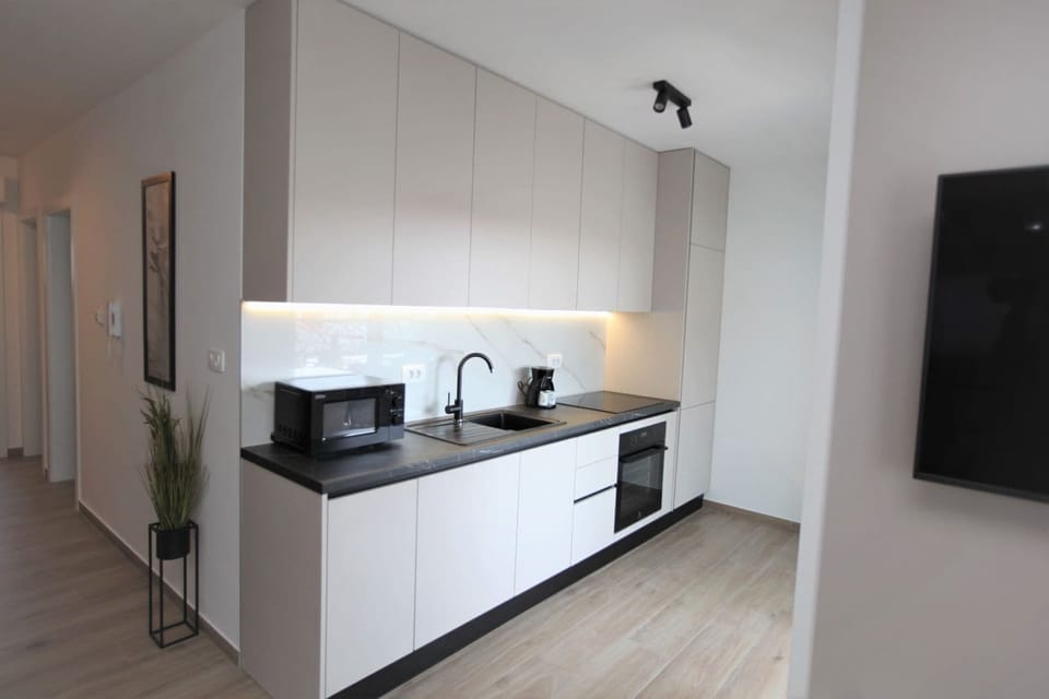 Apartment (A1) | Private kitchen