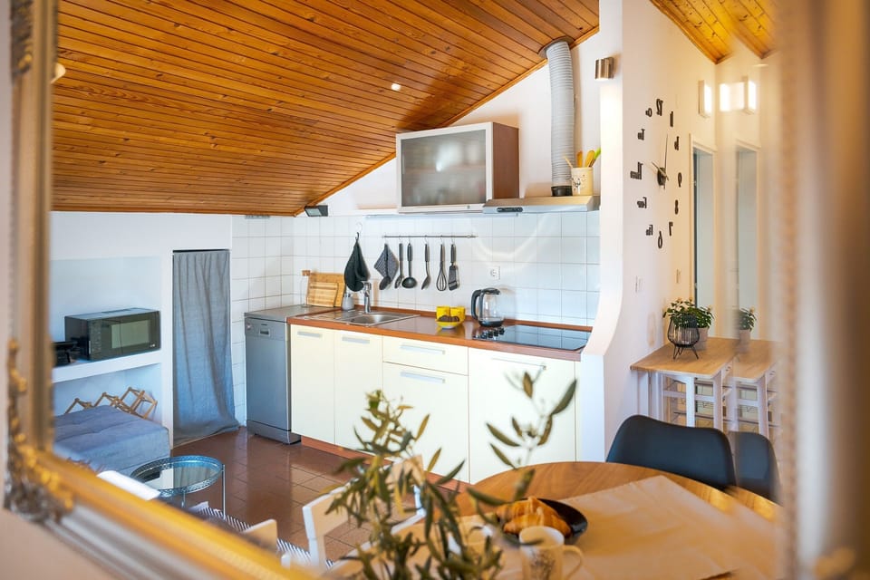 Apartment (A1) | Private kitchen | Fridge, microwave, stovetop, dishwasher
