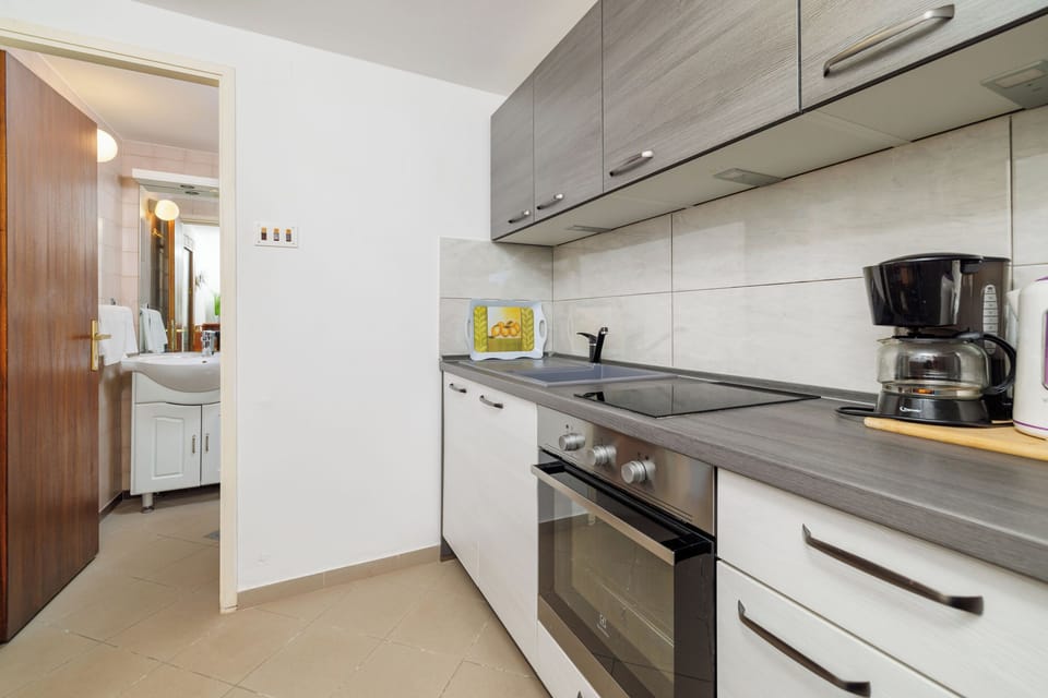 Apartment (A1) | Private kitchen | Fridge, oven, stovetop, dishwasher