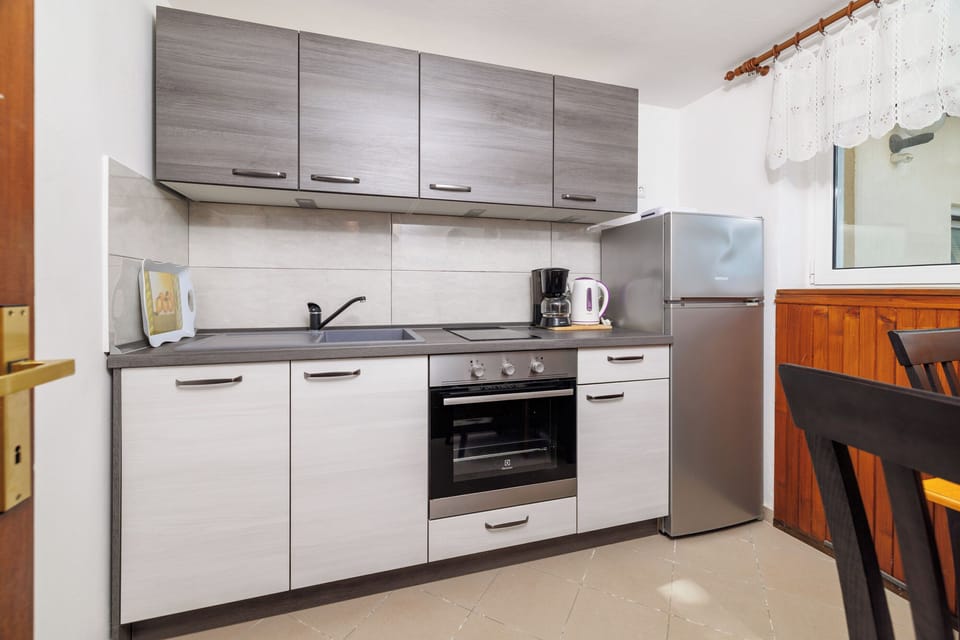 Apartment (A1) | Private kitchen | Fridge, oven, stovetop, dishwasher