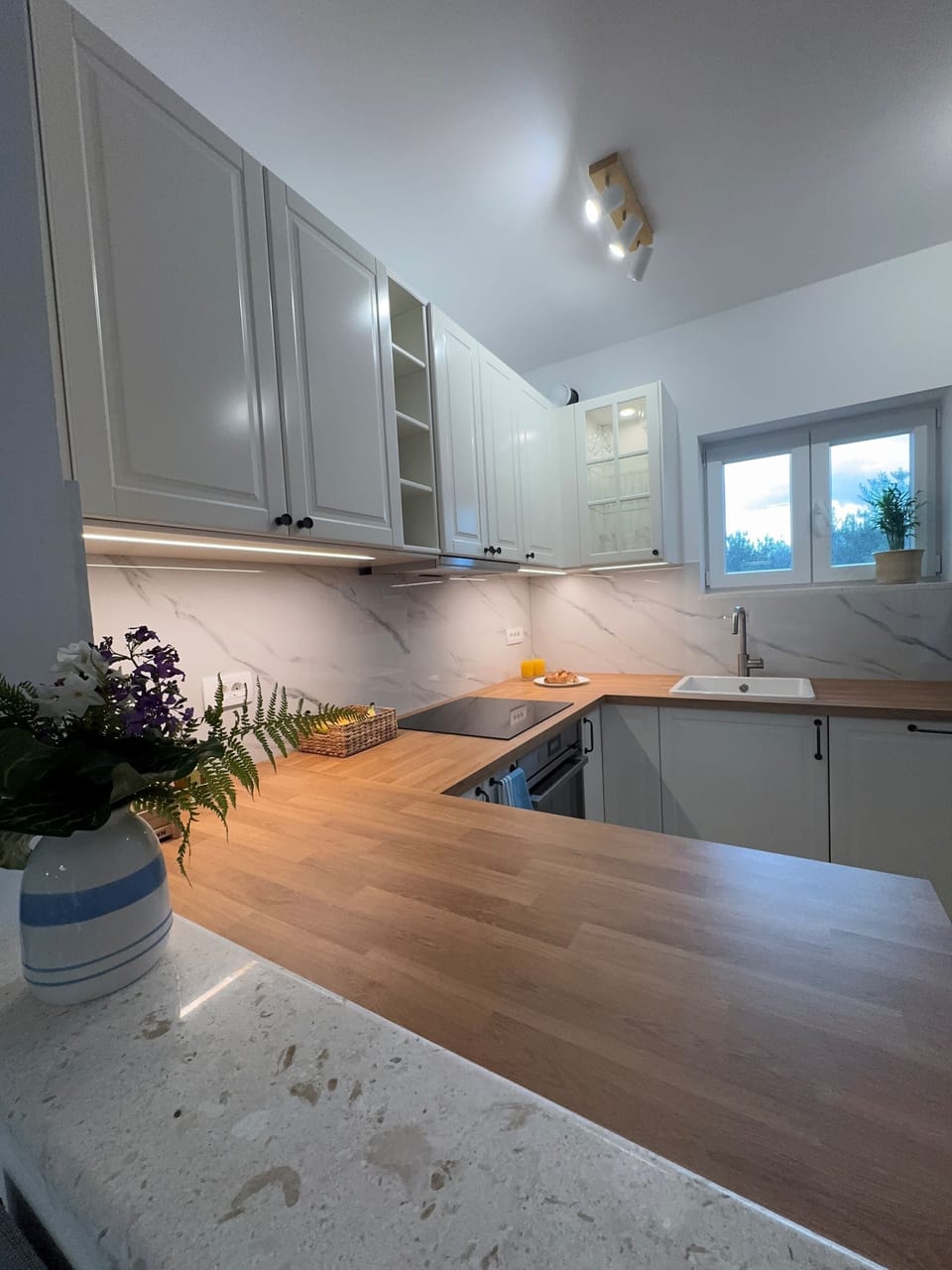 House | Private kitchen | Fridge, microwave, oven, stovetop