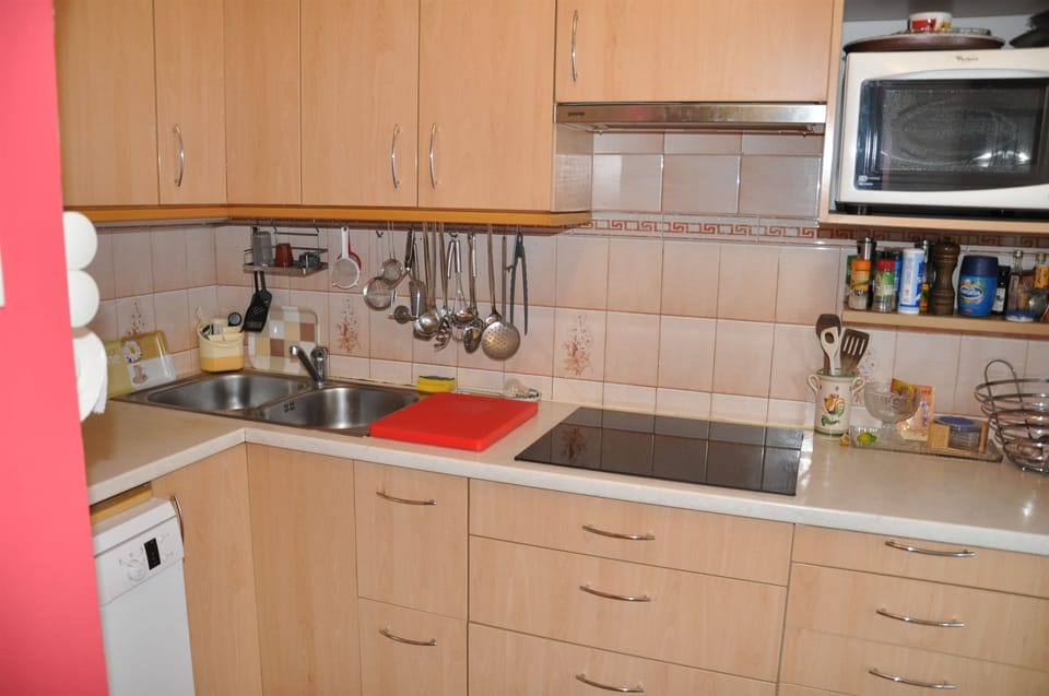 Apartment (A1) | Private kitchen | Fridge, microwave, oven, stovetop