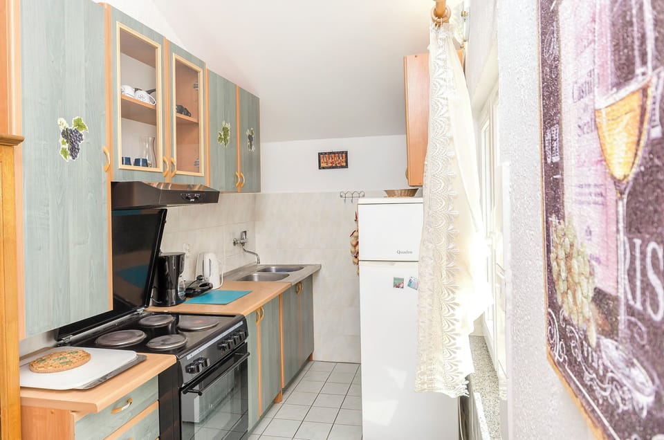 Apartment (A1) | Private kitchen | Fridge, microwave, oven, stovetop