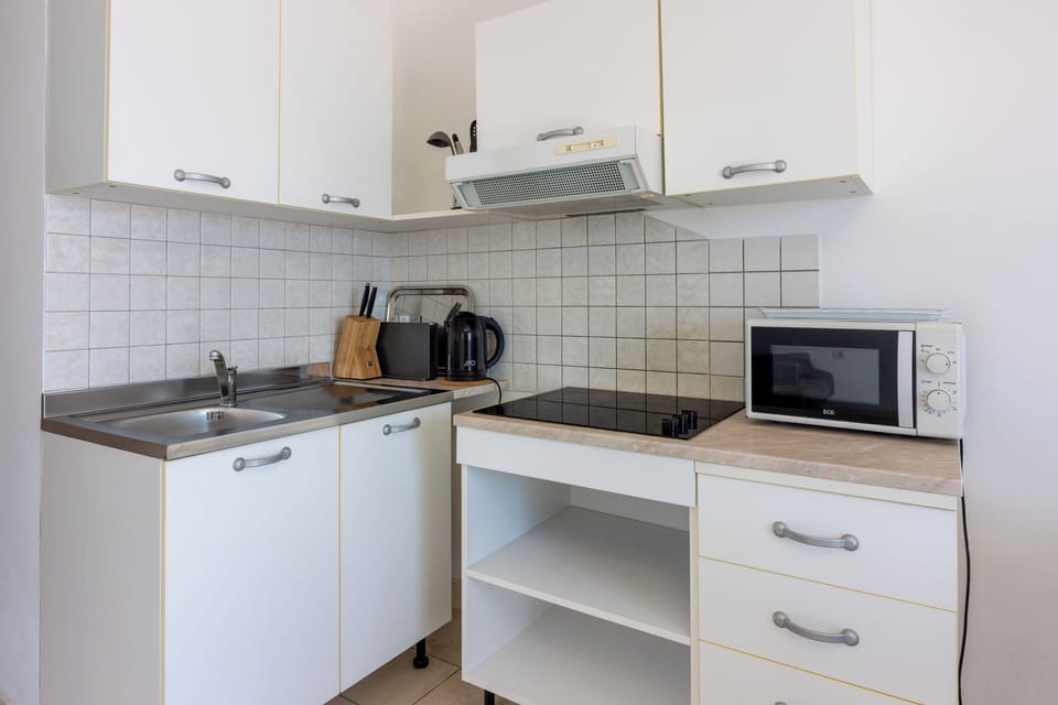 Apartment (A2) | Private kitchen | Fridge, microwave, stovetop, electric kettle