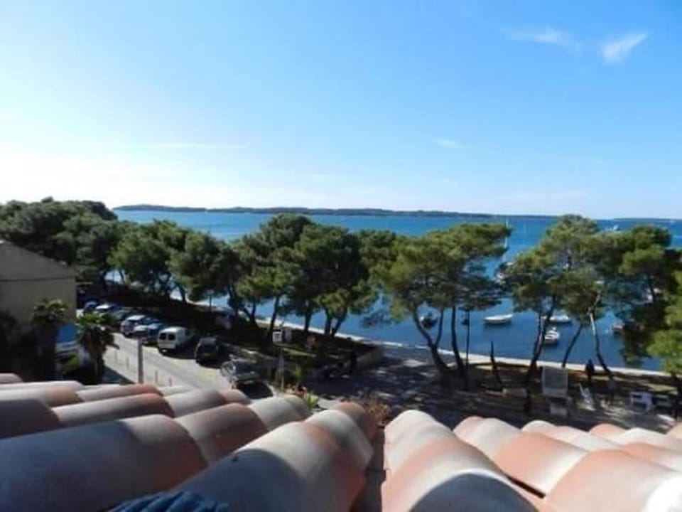 Apartment (A2) | Aerial view