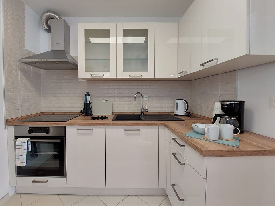 Apartment (A1) | Private kitchen | Fridge, microwave, oven, stovetop