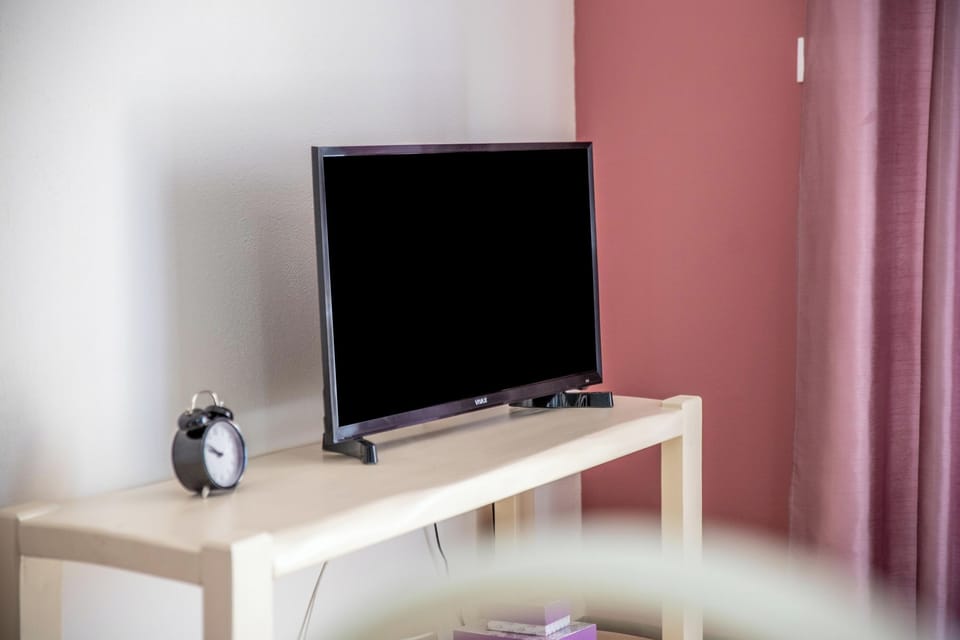 Television
