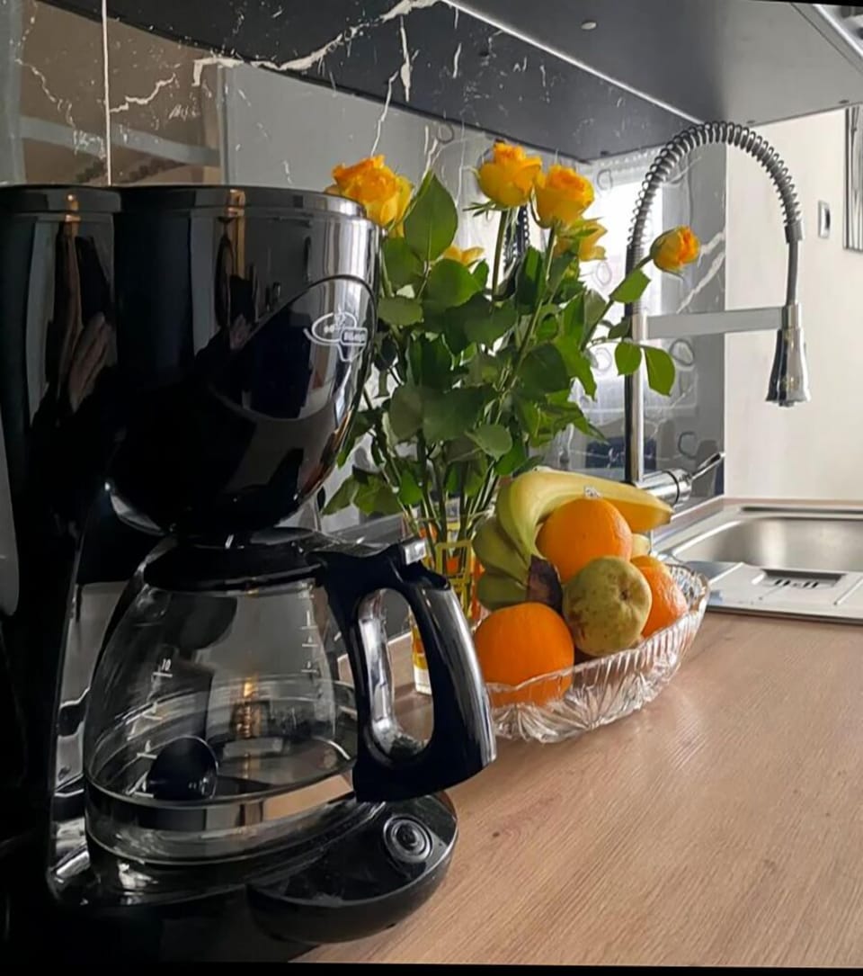 Apartment (A1) | Private kitchen | Fridge, oven, stovetop, dishwasher