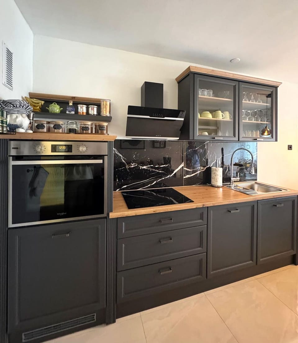 Apartment (A1) | Private kitchen | Fridge, oven, stovetop, dishwasher