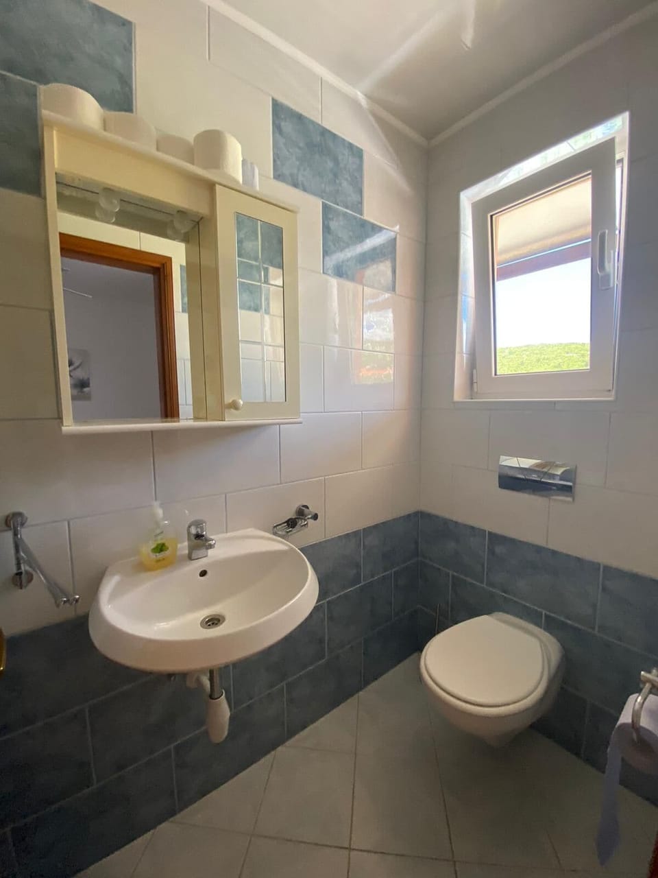 Apartment (A1) | Bathroom | Shower