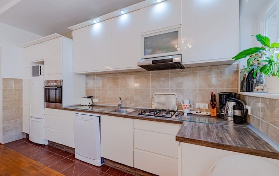 Apartment (A1) | Private kitchen | Fridge, microwave, oven, stovetop