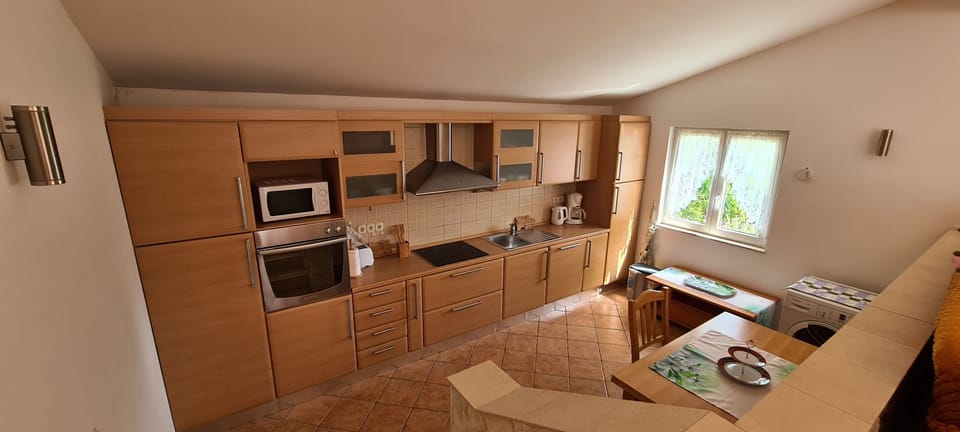 Apartment (A1) | Private kitchen | Fridge, microwave, oven, stovetop