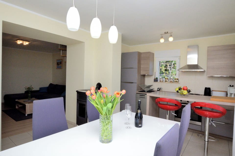 Apartment (A1) | Private kitchen | Fridge, microwave, oven, stovetop