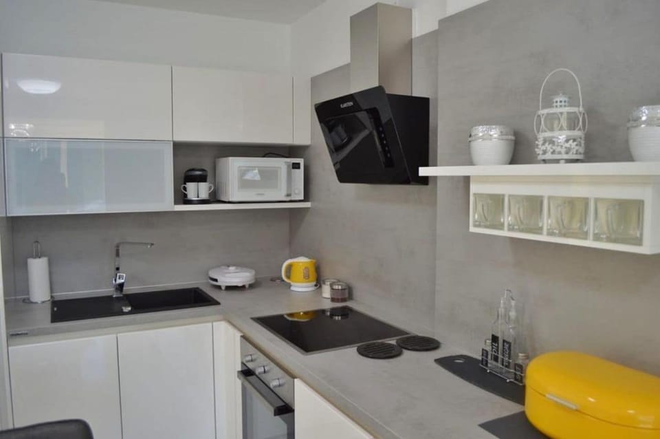 Apartment (A1) | Private kitchen | Fridge, microwave, oven, stovetop