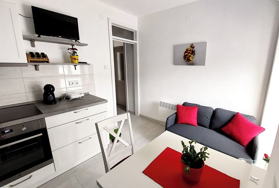 Apartment (A1) | Private kitchen | Fridge, oven, stovetop, dishwasher