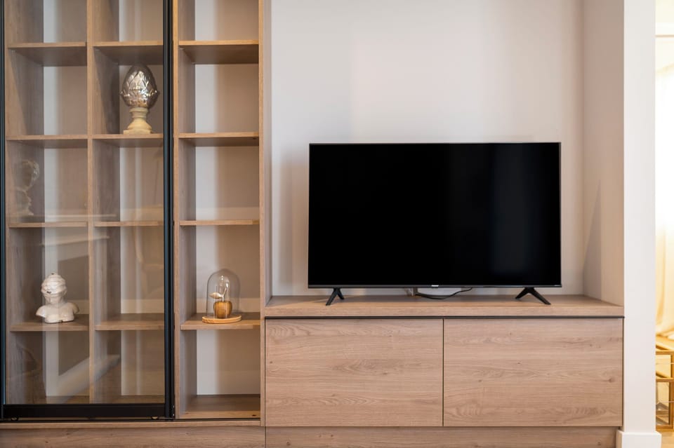 Television