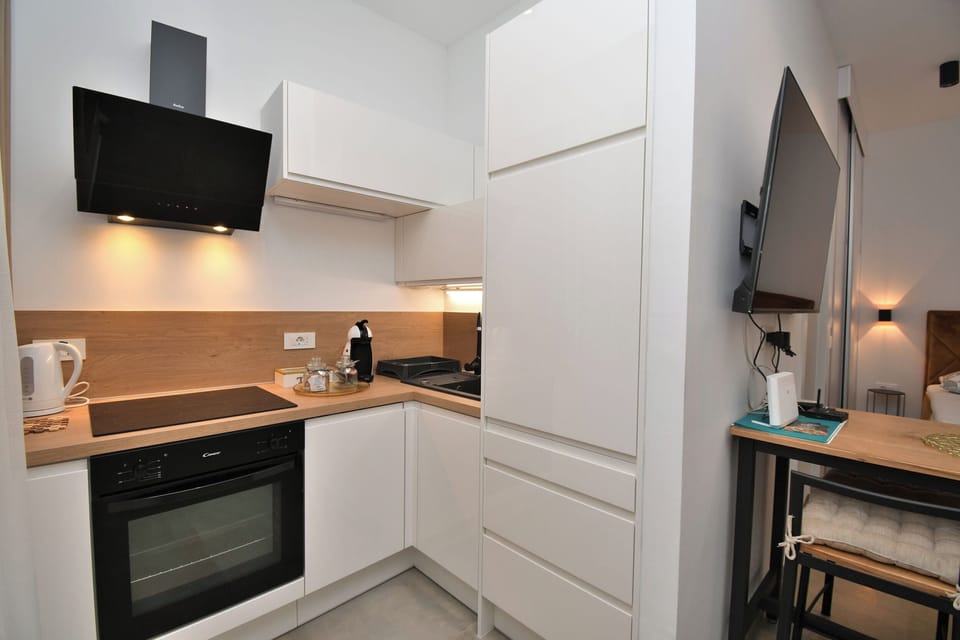 Studio (A1) | Private kitchen | Fridge, oven, stovetop, dishwasher