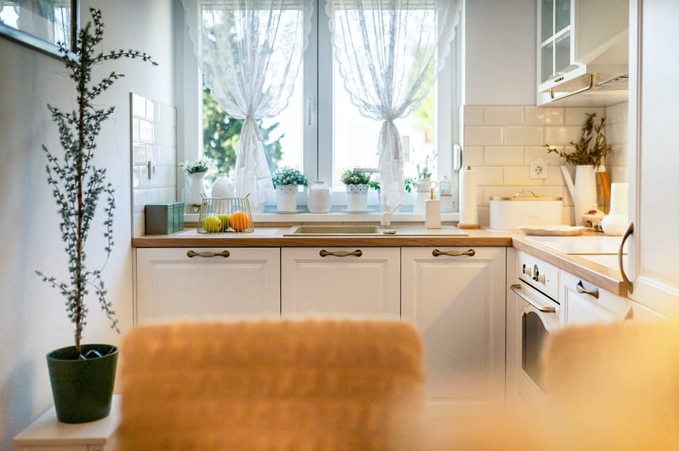 Apartment (A1) | Private kitchen | Fridge, oven, stovetop, dishwasher
