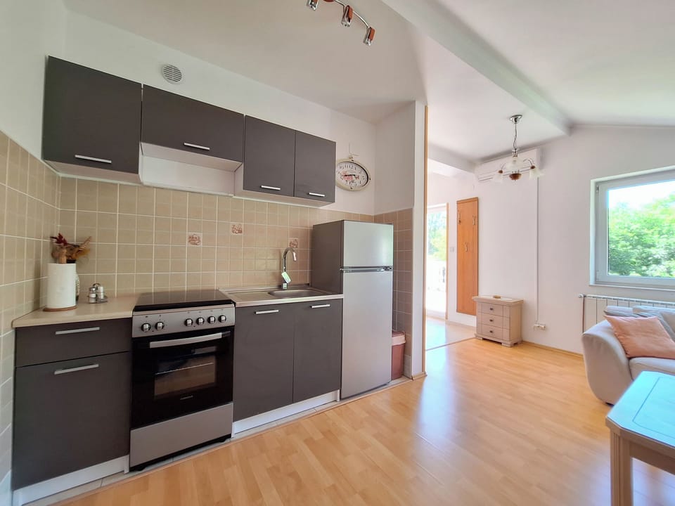Apartment (A1) | Private kitchen | Fridge, oven, stovetop, espresso maker