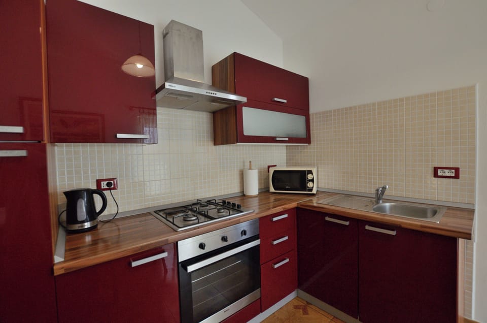 Apartment (A1) | Private kitchen | Fridge, microwave, oven, stovetop