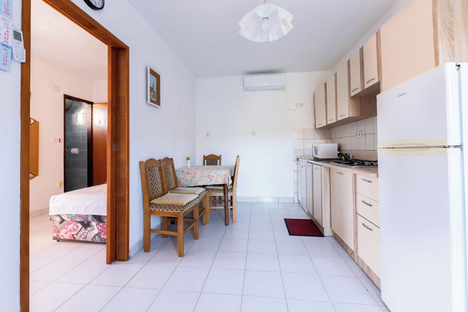 Apartment (A1) | Private kitchen | Fridge, microwave, stovetop, dishwasher