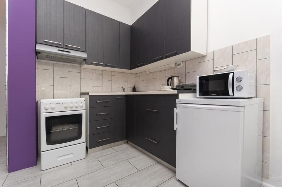 Apartment (A1) | Private kitchen | Fridge, microwave, oven, stovetop