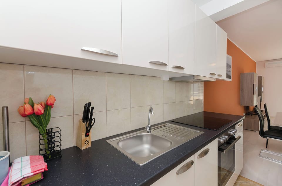 Apartment (A1) | Private kitchen | Fridge, microwave, oven, stovetop