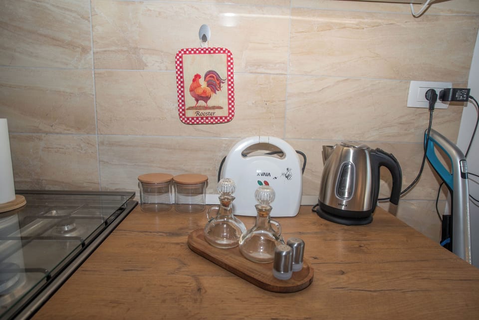 Apartment (A1) | Private kitchen | Fridge, microwave, oven, stovetop