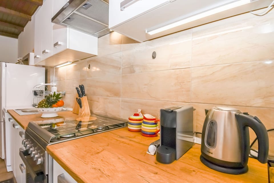 Apartment (A1) | Private kitchen | Fridge, microwave, oven, stovetop