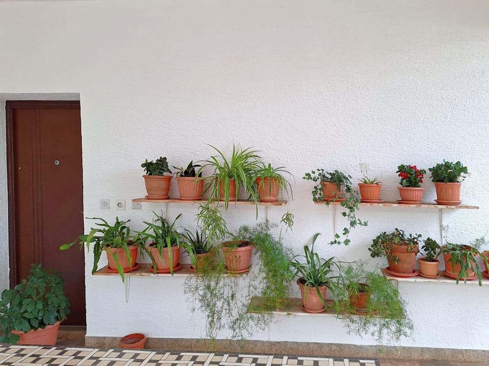 Apartment (A1) | Terrace/patio