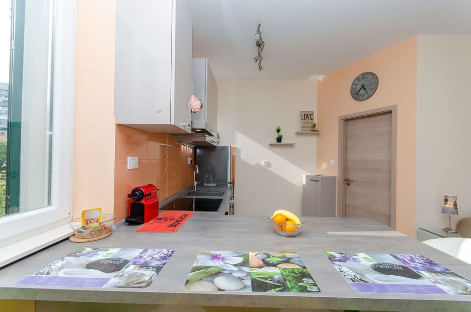 Apartment (A1) | Private kitchen | Fridge, microwave, oven, stovetop