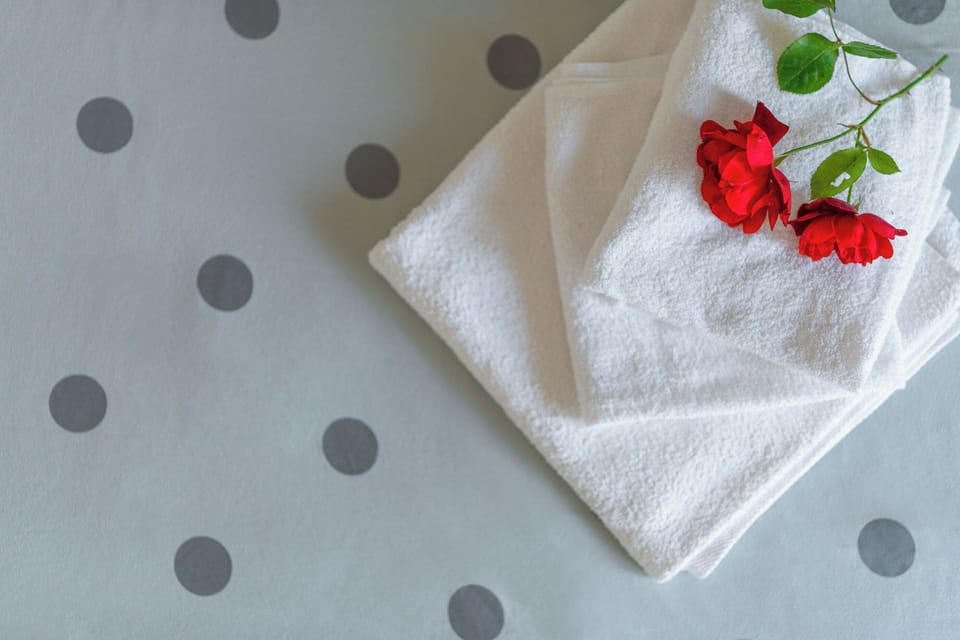 Villa | In-room safe, iron/ironing board, free WiFi