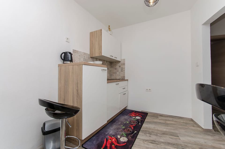 Apartment (A1) | Private kitchen | Fridge, stovetop, dishwasher, electric kettle