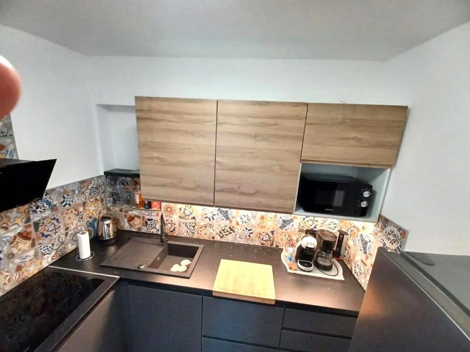 Apartment (A1) | Private kitchen | Fridge, microwave, stovetop, dishwasher