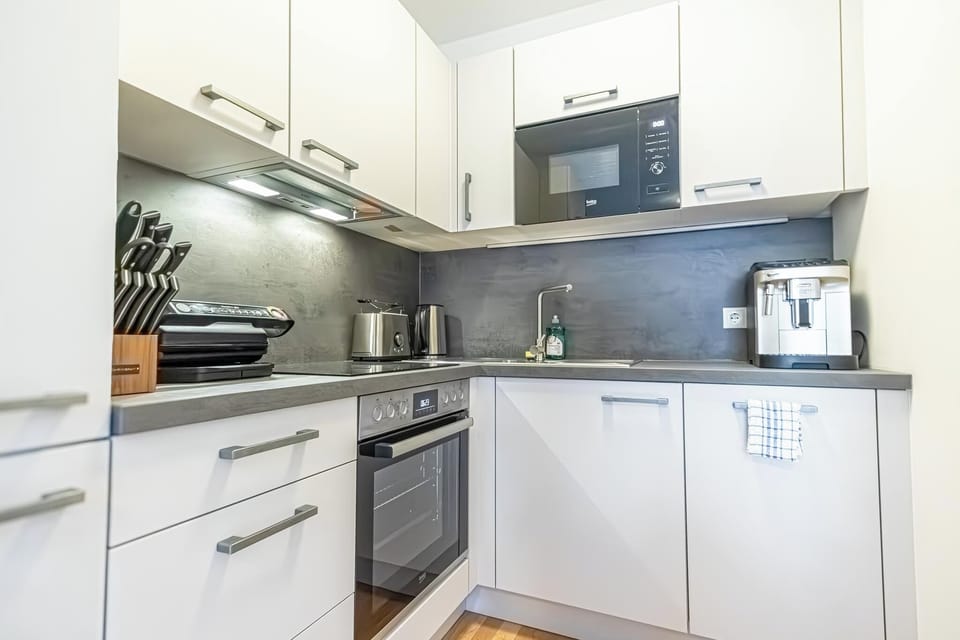Basic Apartment | Private kitchen | Fridge, microwave, oven, stovetop