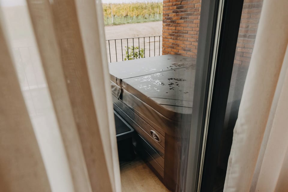 Deluxe Double or Twin Room, Balcony, Vineyard View | Terrace/patio
