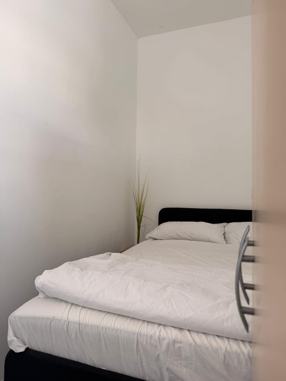 Basic Double Room, 1 Double Bed | Egyptian cotton sheets, premium bedding