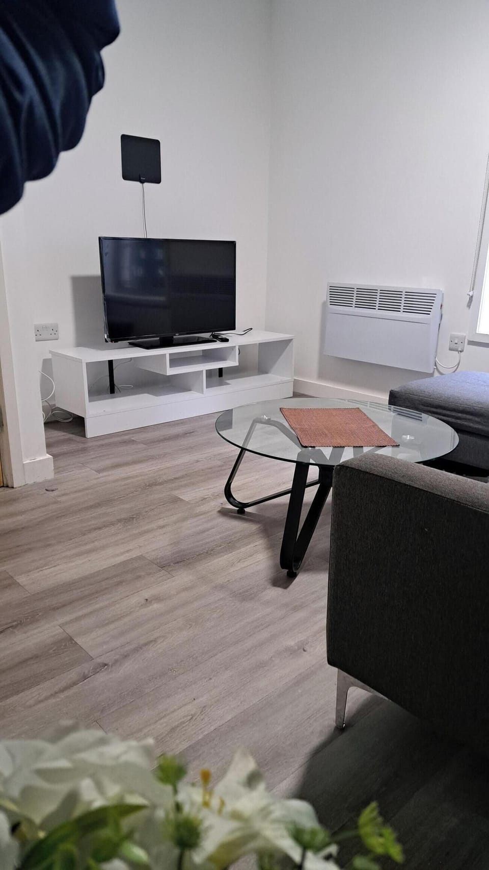 Basic Apartment | Living area | 40-inch LCD TV with satellite channels