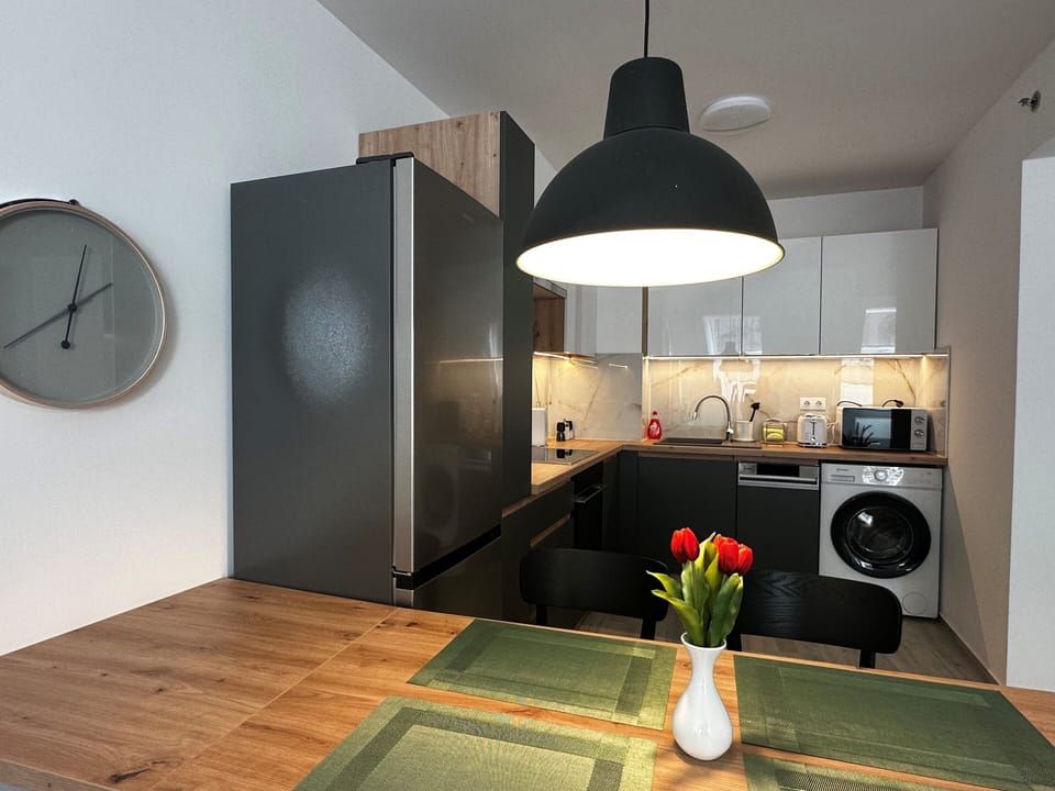 Superior Studio | Private kitchen | Fridge, microwave, stovetop, dishwasher