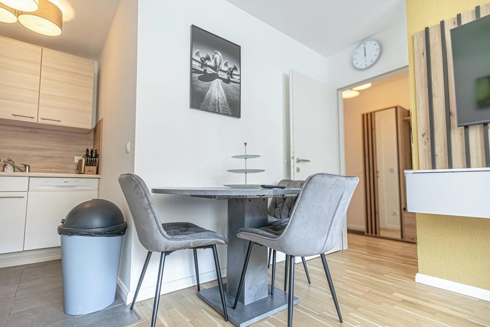 Basic Apartment | Private kitchen | Fridge, oven, stovetop, dishwasher