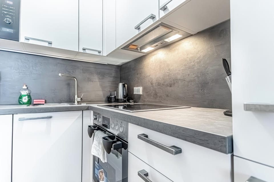 Basic Apartment | Private kitchen | Fridge, microwave, oven, stovetop