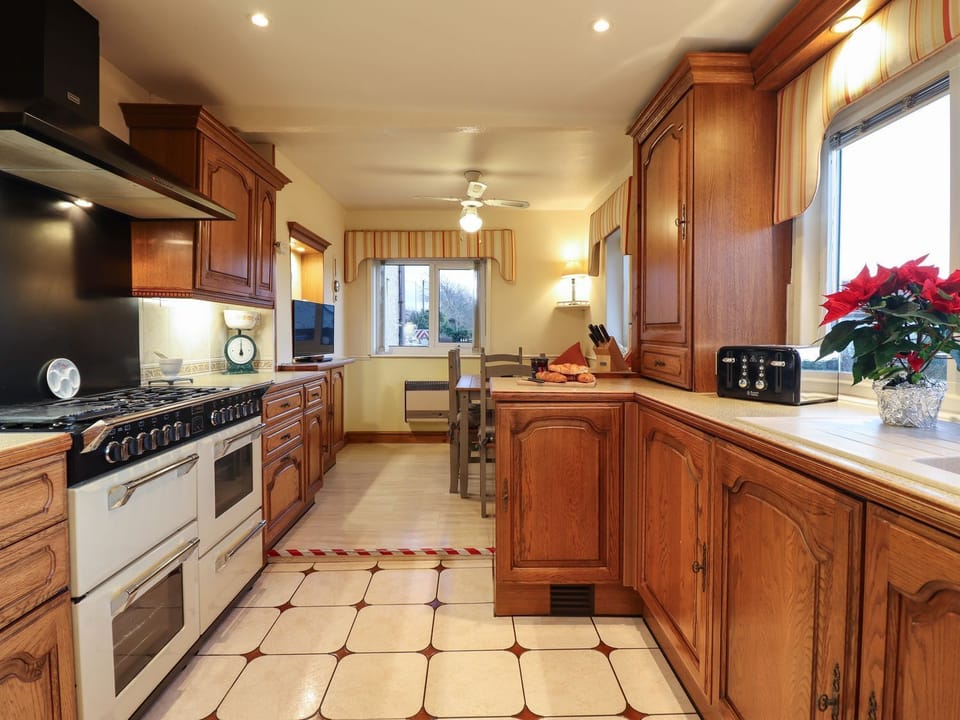 Fridge, microwave, dishwasher, cookware/dishes/utensils