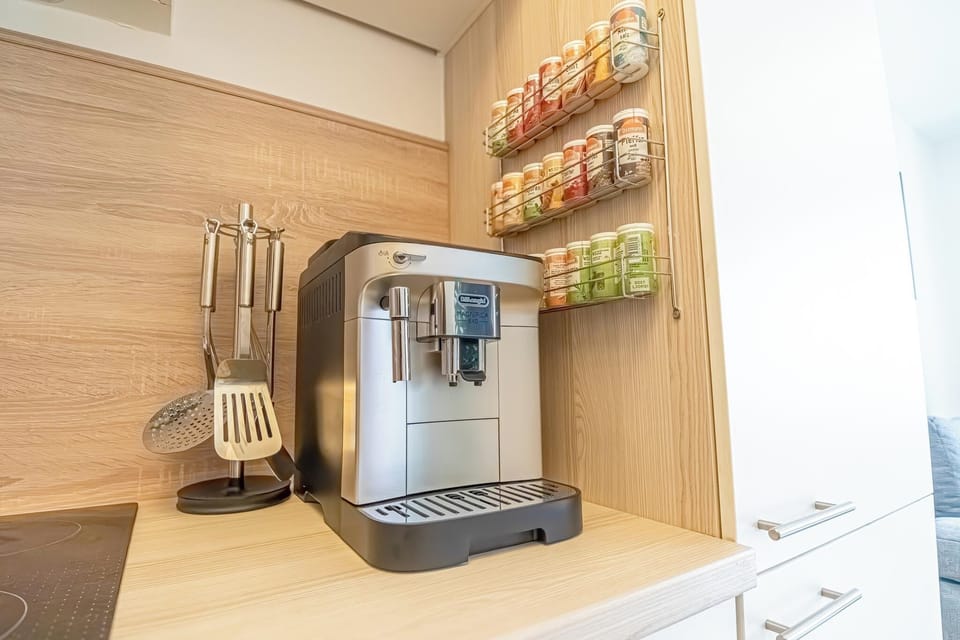 Basic Apartment | Private kitchen | Fridge, oven, stovetop, dishwasher