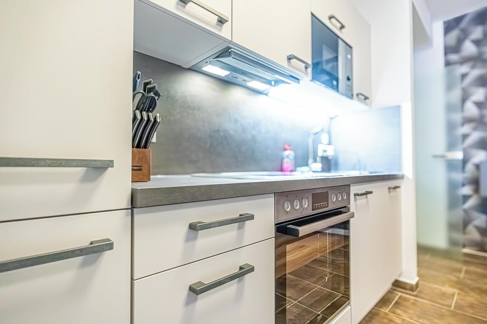 Basic Apartment | Private kitchen | Fridge, microwave, oven, stovetop