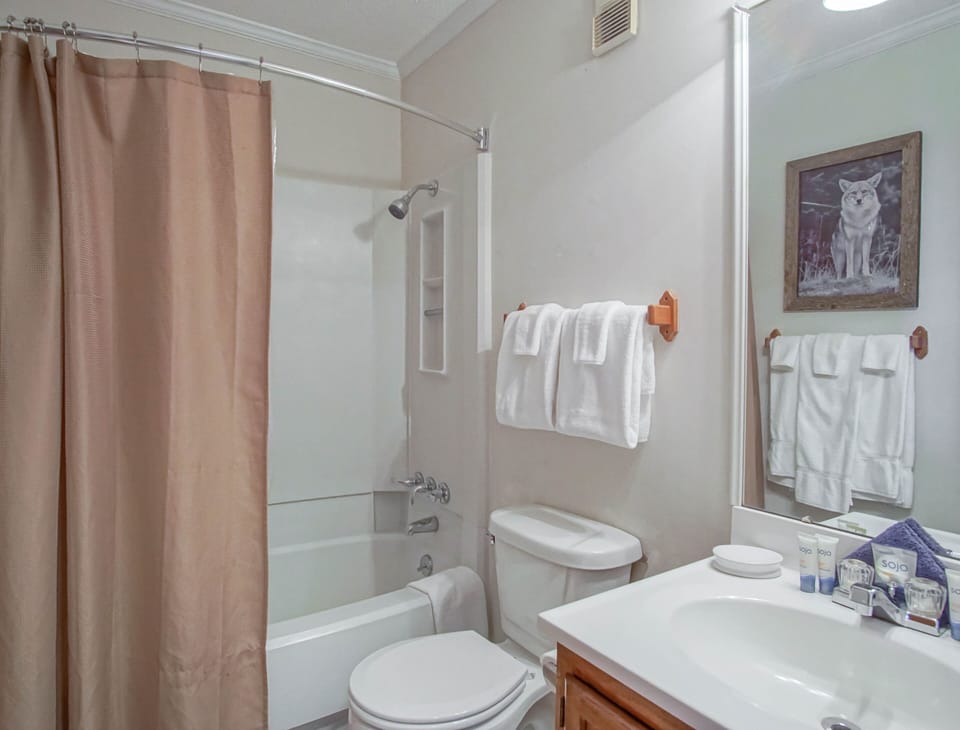 Summit 304b 3 Bedrooms 2 Full Baths Apartment in Snowshoe