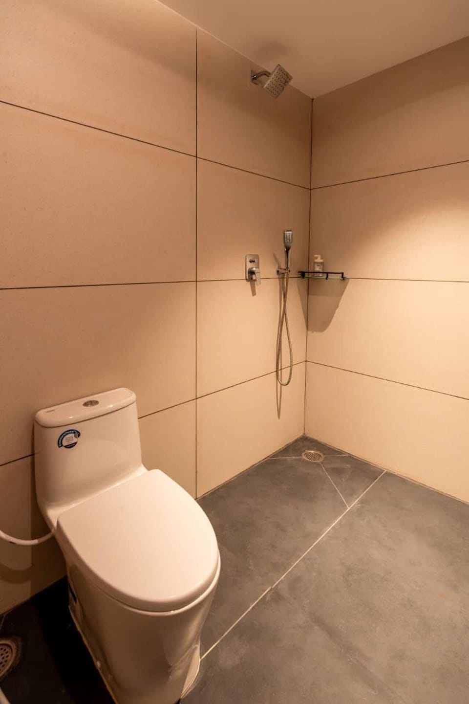 Towels, soap, shampoo, toilet paper