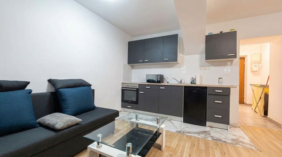 Basic Apartment | Private kitchen | Fridge, oven, stovetop, dishwasher