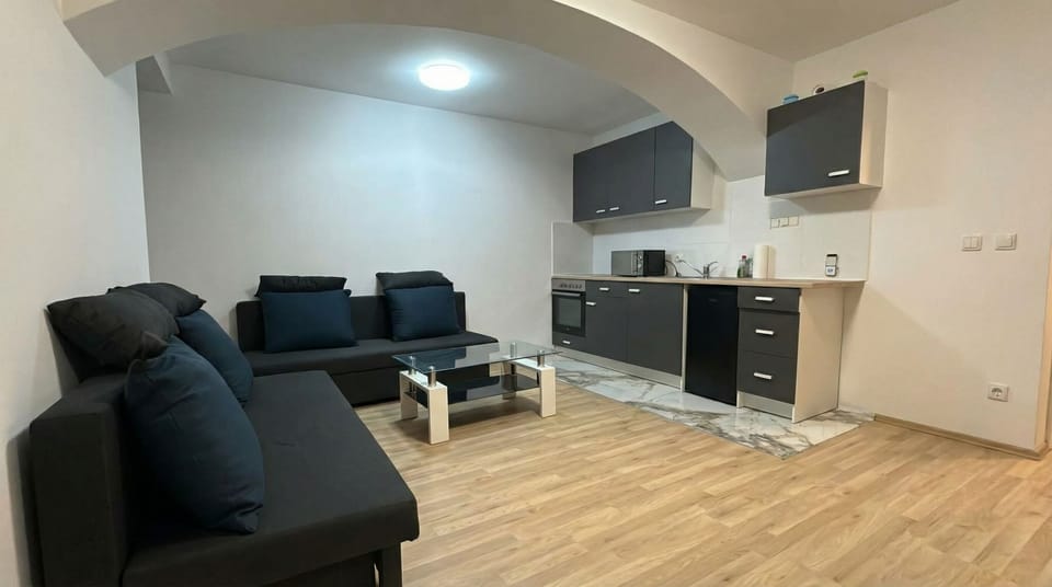 Basic Apartment | Private kitchen | Fridge, oven, stovetop, dishwasher